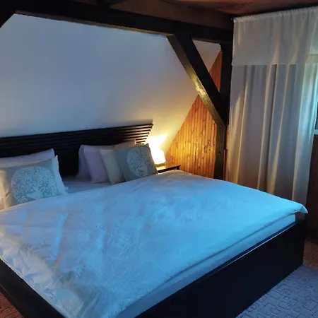 4rest&fun Krusne Hory Chalet