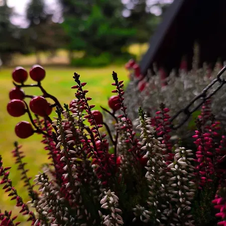 4rest&fun Krušné Hory *