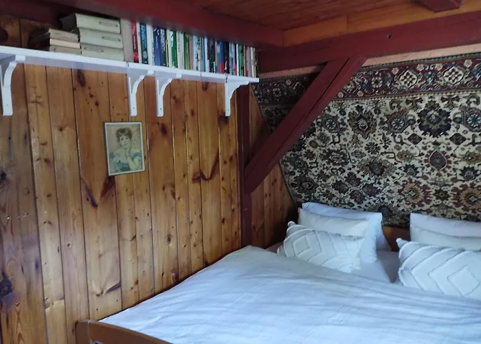 4rest&fun Krusne Hory Domek alpejski