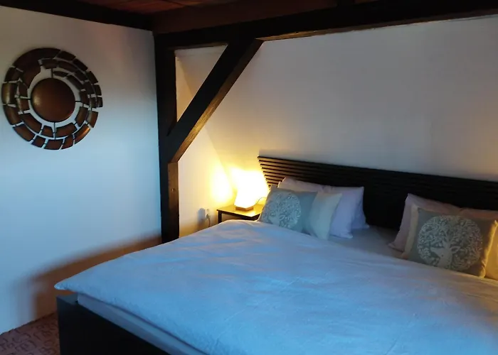 4rest&fun Krusne Hory *