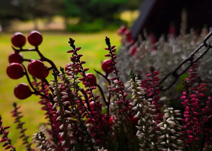 4rest&fun Krusne Hory *